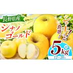 りんご 2026年 シナノゴールド 約5kg