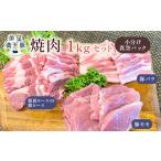 豚肉 ロース 美星満天豚 焼肉 1.0kgセット