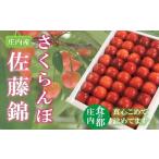 ふるさと納税 果物類 さくらんぼ 山形県 三川町 食の都庄内 令和7年産 庄内のさくらんぼ「佐藤錦」手詰め約300g