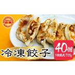 惣菜 レトルト 冷凍 餃子 珍来 冷凍餃子 40個セット
