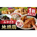 鶏肉 セット みやざき地頭鶏 1羽まるごとセット
