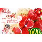 ふるさと納税 いちご 栃木県 下野市 何度も食べたくなる 高級 紅白 いちご 食べ比べセット 600g | いちご イチゴ フルーツ 果物 旬 とちあいか とちおとめ ス…