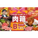 牛肉 セット お楽しみ肉箱 Bセット お試し