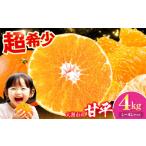 ショッピング甘平 ふるさと納税 果物類 みかん 愛媛県 大洲市  先行予約 2月下旬より順次発送 甘平 4kg Lから4Lサイズ混合 愛媛県大洲市／有限会社西山青果 AGAR011 先行予約 み…