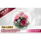 花 苗木 プレート対応可 ボトルフラワー A-K