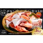 ふるさと納税 魚貝類 サーモン 鳥取県 琴浦町 数量限定 訳あり 国産 とっとり 琴浦 グラン サーモン カマトロ 3kg(1kg×3パック)