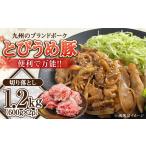 日田産 とびうめ豚 切り落とし 1.2kg
