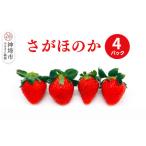 ふるさと納税 いちご 佐賀県 神埼市 2026年1月上旬より発送開始 さがほのか4パック 果物 くだもの フルーツ いちご イチゴ 苺 佐賀 (H116134)