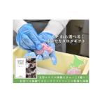 体験チケット 体験型プランカタログ TAISETSU