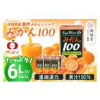 ふるさと納税 果汁飲料 みかん 佐賀
