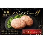 牛肉 ハンバーグ 阿蘇あか牛ハンバーグ 100g×7個