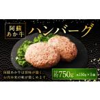 牛肉 ハンバーグ 阿蘇あか牛ハンバーグ 150g×5個