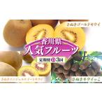 果物類 フルーツ定期便D 3回 さぬきゴールドキウイ 約1kg