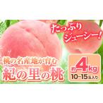 ふるさと納税 もも 和歌山県 岩出市 桃 和歌山県産 紀の里の桃 約4kg (10〜15玉入り)《2025年6月中旬-8月中旬頃出荷》 2025年 先行予約 紀の里の桃 送料無料 …