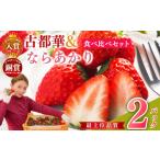 ふるさと納税 いちご 奈良県 五條市 セット 奈良県西吉野産 大和なでし苺 古都華・ならあかり食べ比べセット | フルーツ くだもの 果物 いちご イチゴ 大和な…