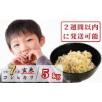 ふるさと納税 米 コシヒカリ 岡山県 西粟倉村  令和7年産 あわくら源流米 コシヒカリ 玄米 5kg｜西粟倉村産・昼夜寒暖差が育む甘み｜ふるさと納税 K-ab-AEIA