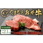 牛肉 ステーキ 3ヶ月定期便 くまもとあか牛