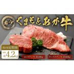 牛肉 ステーキ 6ヶ月定期便 くまもとあか牛