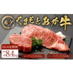 牛肉 ステーキ 12ヶ月定期便 くまもとあか牛