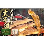 鶏肉 手羽 熊本 天草大王 大手羽 6本