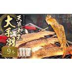鶏肉 手羽 熊本 天草大王 大手羽 9本