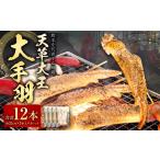 鶏肉 手羽 熊本 天草大王 大手羽 12本