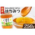 加工品等 はちみつ 希少 日本みつばちのハチミツ 250g