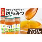 加工品等 はちみつ 希少 日本みつばちのハチミツ 250g×3個