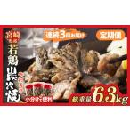 産若鶏炭火焼 総重量6.3kg 肉 鶏肉 加工品