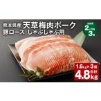 豚肉 ロース 上 2ヶ月毎3回定期便 完全無薬