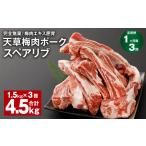 豚肉 上 1ヶ月毎3回定期便 完全無薬 梅肉エキス肥育