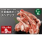 豚肉 上 1ヶ月毎6回定期便 完全無薬 梅肉エキス肥育
