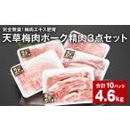 豚肉 セット 上 完全無薬 梅肉エキス肥育 天草梅肉ポーク