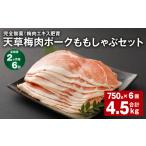 豚肉 モモ 上 2ヶ月毎6回定期便 完全無薬