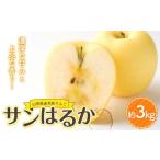 ふるさと納税 りんご 山形県 - 山形県産 厳選完熟りんご 『サンはるか』(無袋栽培) 秀品 約3kg化粧箱(7〜12玉入り)《先行受付2025年度12月発送》 FSY-2184