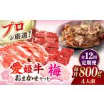 牛肉 セット 全12回定期便 愛姫牛 店主におまかせ旬セット