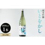 日本酒 純米吟醸酒 3回定期便 純米吟醸いとをかし生酒一升…