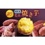 野菜類 サツマイモ 訳あり 紅蜜芋 紅はるかの焼き芋 1.5kg