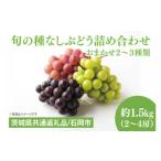 ふるさと納税 ぶどう 茨城県 水戸市 先行予約 2025年9月上旬〜10月中旬発送 旬の種なしぶどう詰め合わせ 1.5kg(2〜4房) 茨城県共通返礼品/石岡市 ブド…