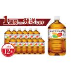 ふるさと納税 お茶類 滋賀県 守山市 からだすこやか茶Ｗ+ 1.05L PET（12本入） 特定保健用食品 お茶 トクホ 健康 ほうじ茶 ブレンド茶 守山市