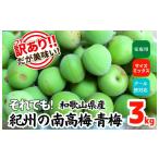 野菜類 青梅 南高梅 約3kg