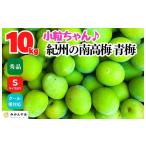 野菜類 南高梅 青梅 秀品 小粒ちゃん 約10kg