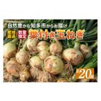 ショッピングふるさと納税 玉ねぎ ふるさと納税 ねぎ・玉ねぎ 愛知県 知多市  先行予約 葉付き玉ねぎ ／ 野菜 たまねぎ タマネギ 愛知県