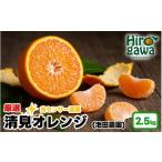 みかん 柑橘類 オレンジ 清見 厳選 2.5kg+250g