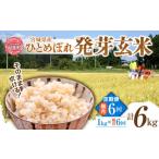 ふるさと納税 玄米 宮