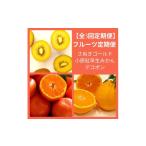 みかん 柑橘類 全3回フルーツ定期便 さぬき讃フルーツさぬ…