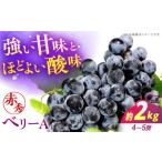 ぶどう ベリーA 2kg
