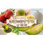 いちご 定期便6回 定期便 季節の農家のこだわり定期便