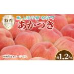 ふるさと納税 もも 福島県 桑折町 もも あかつき・2026年産先行受付 特秀1.2kg「献上桃の郷ブランド品」桑折町産　JAふくしま未来　桃 ／ もも モモ 果物 フル…