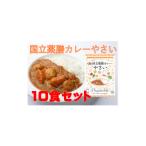 加工品等 レトルト 30種のスパイスを使用